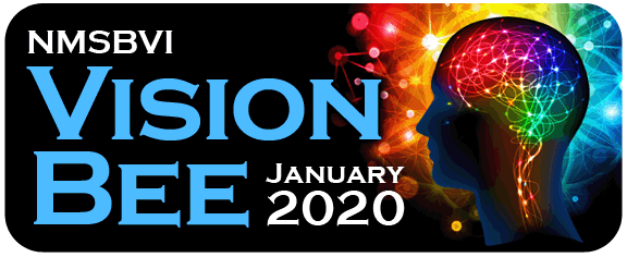 Vision Bee 2020
